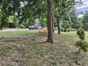 Prodej zahrady, Sezimovo Ústí, 433 m2