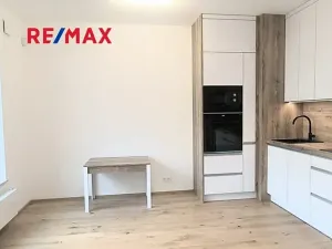 Pronájem bytu 2+kk, Praha - Nusle, Závišova, 46 m2