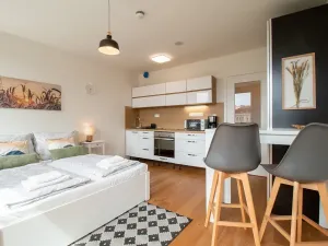 Pronájem bytu 1+kk, Praha - Vinohrady, Perucká, 25 m2