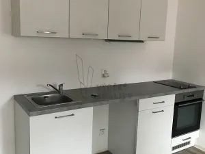 Pronájem bytu 1+kk, Litoměřice, Nerudova, 32 m2