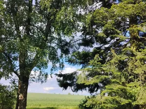 Pronájem chalupy, Mladý Smolivec, 65 m2