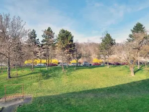 Pronájem bytu 2+1, Praha - Hloubětín, Zelenečská, 52 m2