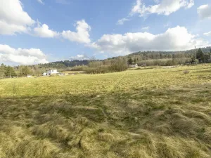 Prodej pozemku, Vyšní Lhoty, 3033 m2