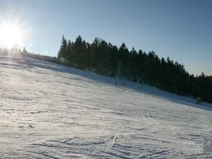 Prodej pozemku pro bydlení, Kraslice, Pod lesem, 630 m2