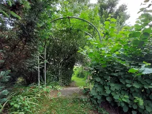 Prodej zahrady, Praha - Sedlec, 1947 m2