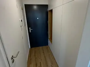 Pronájem bytu 1+kk, Kladno, Ke křížku, 25 m2