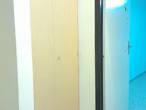 Prodej bytu 3+1, Ostrava, Bedřicha Václavka, 68 m2