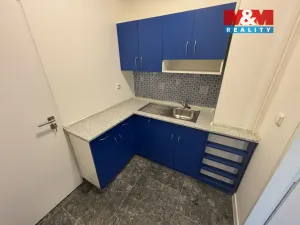 Pronájem kanceláře, Ostrava - Přívoz, Trocnovská, 240 m2