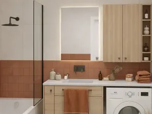 Prodej bytu 3+kk, Brno, Řípská, 60 m2