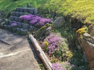 Prodej pozemku pro bydlení, Nalžovské Hory - Těchonice, 398 m2