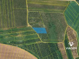 Prodej podílu pole, Kobylí, 880 m2