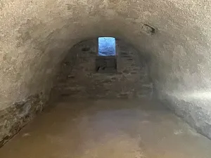 Pronájem chalupy, Čestín, 350 m2