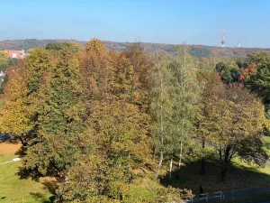 Pronájem bytu 2+1, Ostrava, Průběžná, 40 m2