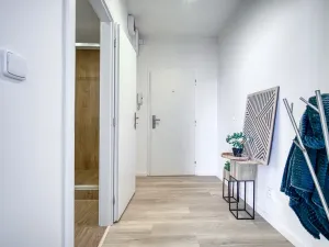 Pronájem bytu 1+1, Jablonec nad Nisou - Mšeno nad Nisou, Boženy Němcové, 40 m2