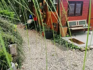 Prodej zahrady, Ostrava, Balbínova, 859 m2