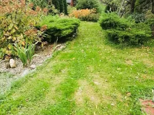 Prodej zahrady, Ostrava, Balbínova, 859 m2