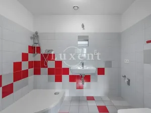 Prodej komerční nemovitosti, Praha - Strašnice, Olešská, 310 m2