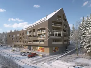 Prodej bytu 2+kk, Železná Ruda, 54 m2