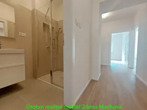 Pronájem bytu 1+1, Praha - Vinohrady, Písecká, 52 m2