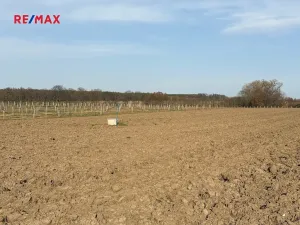 Prodej sadu/vinice, Nové Dvory, 9979 m2