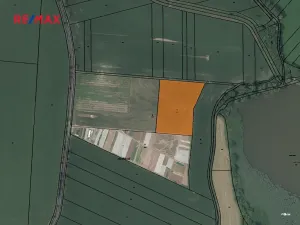 Prodej sadu/vinice, Nové Dvory, 9979 m2