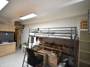 Pronájem bytu 1+kk, Praha - Střešovice, náměstí Před bateriemi, 17 m2