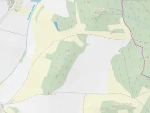 Prodej lesa, Čepřovice, 1644 m2