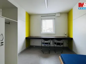 Prodej, Planá, 300 m2