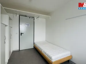 Prodej, Planá, 300 m2