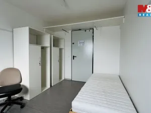 Prodej, Planá, 300 m2