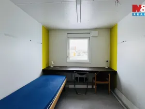 Prodej, Planá, 300 m2