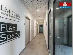 Pronájem obchodního prostoru, Praha, Jihlavská, 30 m2