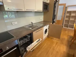 Pronájem bytu 1+kk, Brno, Vinohrady, 38 m2