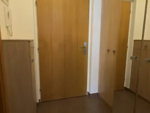 Pronájem bytu 1+kk, Brno, Vinohrady, 38 m2