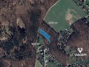Prodej lesa, Vráž, 2989 m2