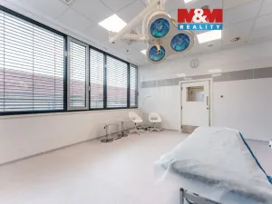 Pronájem komerční nemovitosti, Praha, Jihlavská, 30 m2