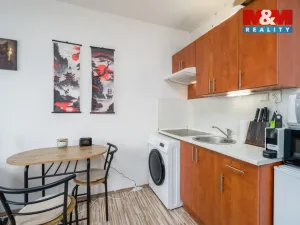 Prodej bytu 1+kk, Ústí nad Labem - Severní Terasa, Glennova, 19 m2