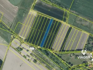 Prodej pole, Děčany, 458 m2