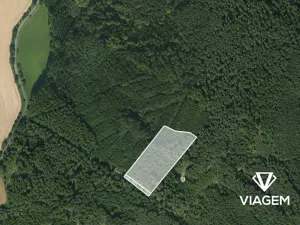 Prodej lesa, Březina, 18560 m2