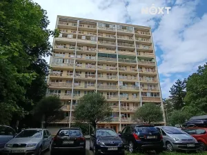 Pronájem bytu 3+1, Pardubice, Bělehradská, 60 m2