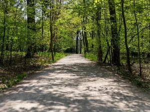 Pronájem kanceláře, Praha - Chodov, Tomíčkova, 3000 m2