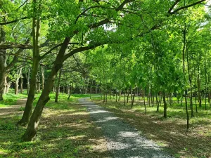Pronájem kanceláře, Praha - Chodov, Tomíčkova, 33000 m2