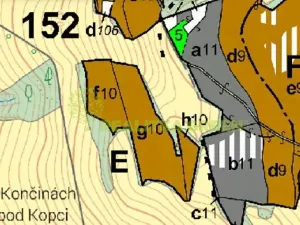 Prodej lesa, Rožnov pod Radhoštěm, Dolní Paseky, 13014 m2