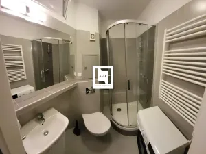 Pronájem bytu 1+1, Olomouc, Fragnerova, 31 m2