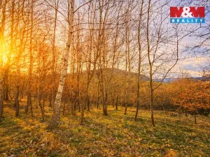 Prodej louky, Mikulůvka, 5876 m2