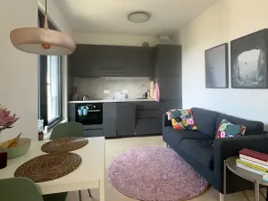 Pronájem bytu 1+kk, Praha - Strašnice, Michelangelova, 37 m2
