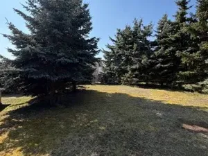 Prodej rodinného domu, Jablonná, 120 m2