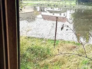 Prodej pozemku pro bydlení, Sedlice, 790 m2