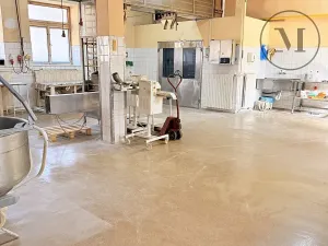 Prodej výrobních prostor, Netolice, Bavorovská, 650 m2