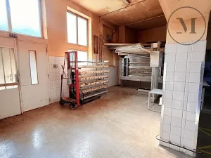 Prodej výrobních prostor, Netolice, Bavorovská, 650 m2